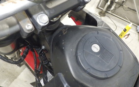 KAWASAKI KLX250 Gen.2 2025 LX250S