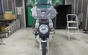 HONDA C110 SUPER CUB 2015 JA10