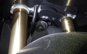 SUZUKI HAYABUSA Gen.2 2010