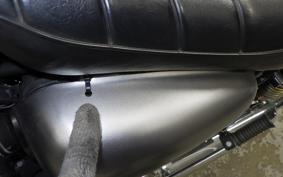 KAWASAKI W800 2021 EJ800B