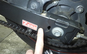 KAWASAKI NINJA 250R 2024 EX250K