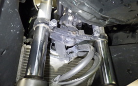 HONDA CBR250R A 2009 MC41