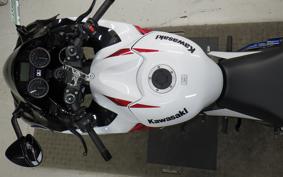 KAWASAKI ZX 1400 NINJA R A 2020