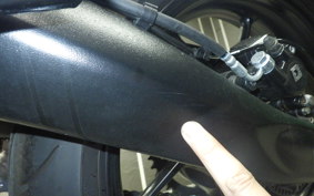TRIUMPH SPEED400 2024