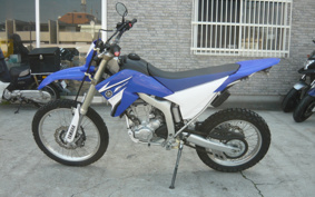 YAMAHA WR250X DG15J