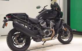HARLEY PAN AMERICA 1250 S 2024