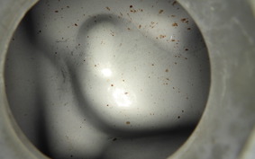 HONDA STEED 600 1995 PC21