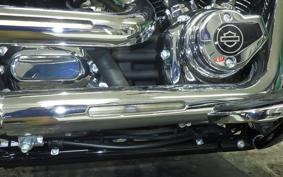 HARLEY FLFB1920 2025