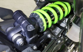 KAWASAKI ZX-4RR 2024 ZX400P