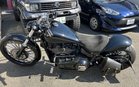 HARLEY FXBRS 2018 YHK