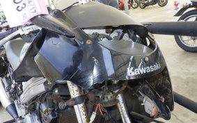 KAWASAKI ZZ-R250 EX250H