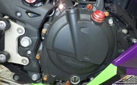 KAWASAKI NINJA 400 2021 EX400G