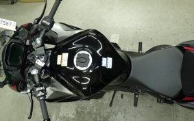 KAWASAKI NINJA 1000 SX 2024