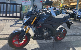 KAWASAKI Z125 PRO BR125H