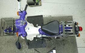HONDA C110 SUPER CUB 2007 JA07