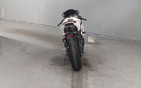 TRIUMPH TRIUMPH DAYTONA675R TMD116