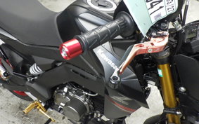 KAWASAKI Z125 PRO 2024 BR125H