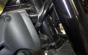 KAWASAKI Z900RS 2019 ZR900C