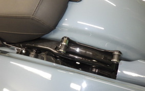 HARLEY FLHX1920 2024