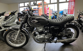 KAWASAKI W800 2025 EJ800E