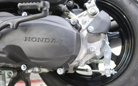 HONDA  TACT  BASIC  AF79