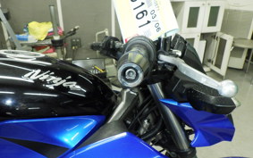 KAWASAKI Z250 SL 2021 BR250E