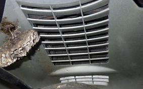 YAMAHA MAJESTY 250 SV 2002 SG01J