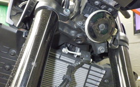 YAMAHA MT-25 A 2014 RG43J