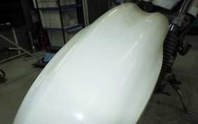 KAWASAKI SUPER SHERPA 2010 KL250G