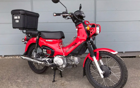 HONDA CROSS CUB JA45