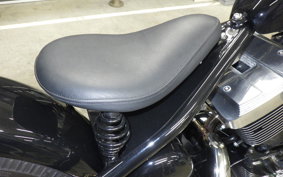 OTHER THUNDER 250 2011