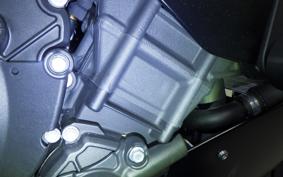 YAMAHA YZF-R1 2017