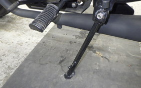 OTHER +UNREGISTERED MODEL by BDS250