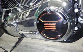 HARLEY FLSB 1750 2020