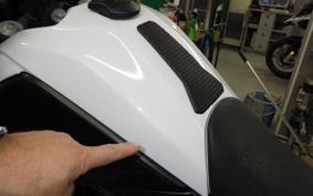 YAMAHA TENERE 700 2020 DM09J