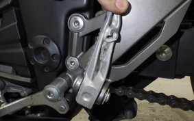 KAWASAKI NINJA 250 ABS