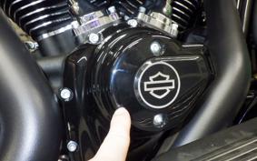 HARLEY FLTRX1920 2026