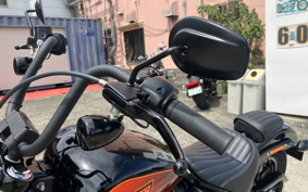 HARLEY FXBBS 2022 YYK