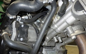 SUZUKI SV650 X A 2019 VP55B