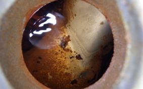 HONDA MONKEY 2022 AB27