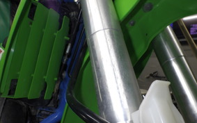 KAWASAKI KDX250SR 2013 DX250F