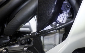 KAWASAKI ZX-4R SE 2025 ZX400P