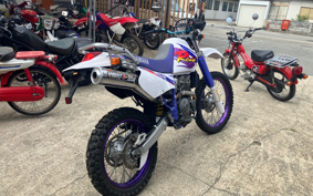 YAMAHA TT250R 4GY