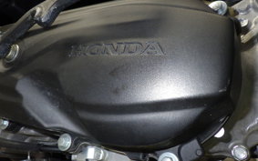 HONDA DUNK 2006 AF78