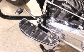 HARLEY FLFBS 2022 YGK