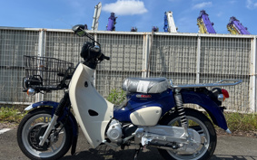 HONDA  SUPER CUB 110 PRO LITE JA77