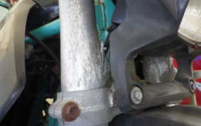 KAWASAKI KDX250SR DX250F