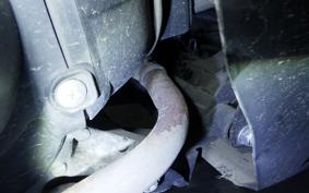 SUZUKI ADDRESS 110 CE47A