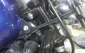 OTHER +HD. XL1200C-I 2015