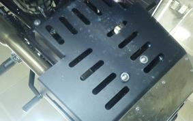 OTHER +MUTT DRK-01 250 1999